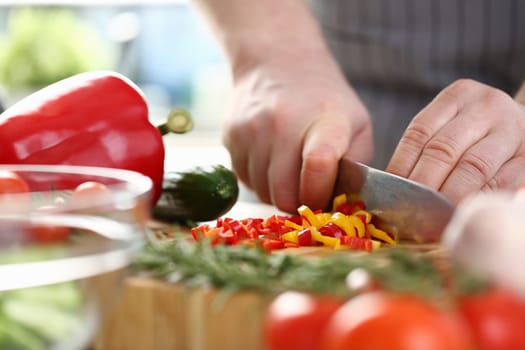 Cook cuts avegetable salad from fresh vegetables. Benefits of a vegetarian lifestyle concept