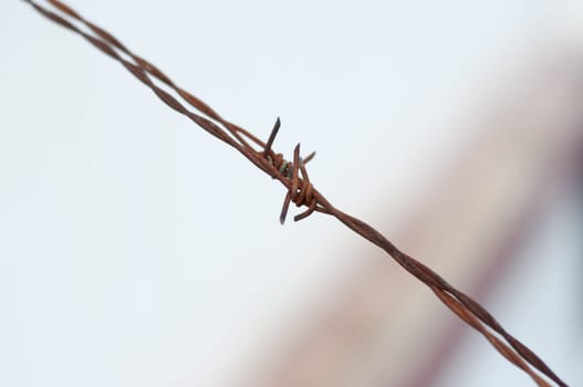 closeup of a steel barbed wire from a prison. High quality photo