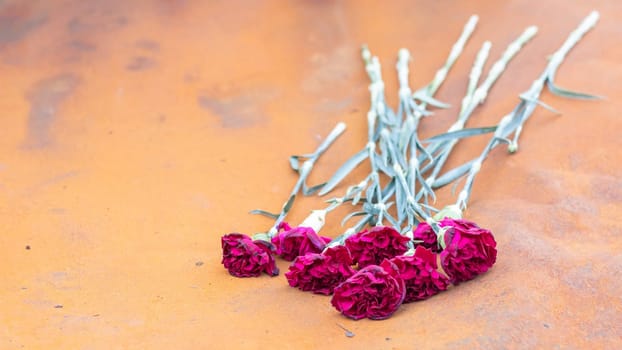 Red carnation flowers or peonies at the site of a fatal car accident. Tragedy and grief over the loss of a person. Memory. Paying tribute. Tragedy and sadness about the loss of a loved one