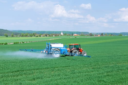 Spraying wheat with fertilizer or herbicide using a tractor. Protection of the plant from pests.