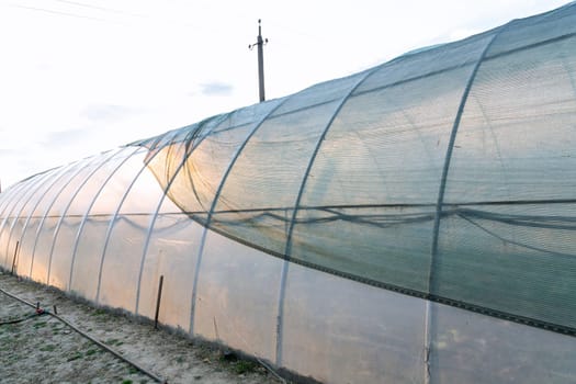 Shading green net on the greenhouse, artificial protection of plants from the sun.