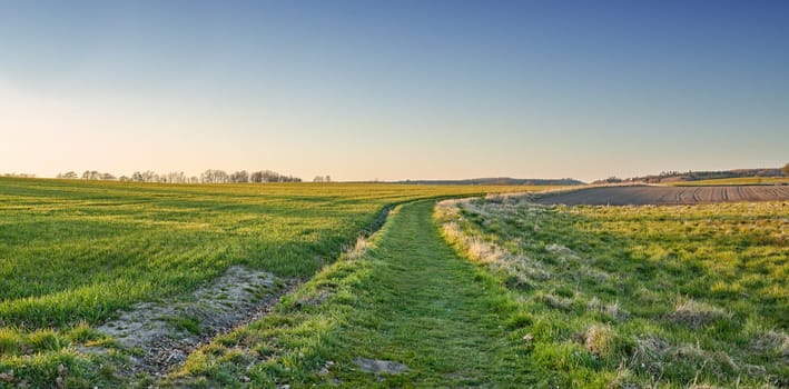 Green fields and blue skies. Green fields and blue sky in spring and early summer