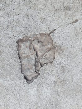 The imprint of a fallen autumn leaf on gray dry concrete close-up.