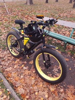 A beautiful fatbike near a wooden bench on an autumn day in a city park.