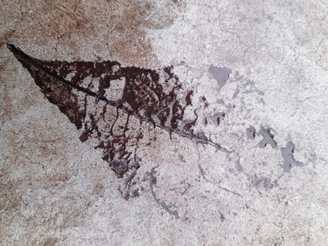 The imprint of a fallen autumn leaf on wet concrete close-up.