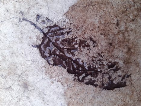 The imprint of a fallen autumn leaf on wet concrete close-up.