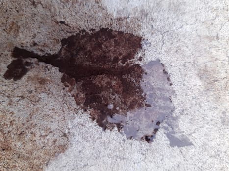 The imprint of a fallen autumn leaf on wet concrete close-up.