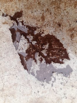 The imprint of a fallen autumn leaf on wet concrete close-up.