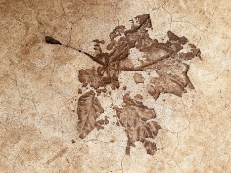 The imprint of a fallen autumn leaf on concrete close-up.