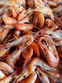 Small sea shrimps close-up.