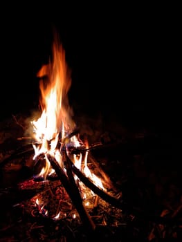 Bright campfire in nature on an autumn night.