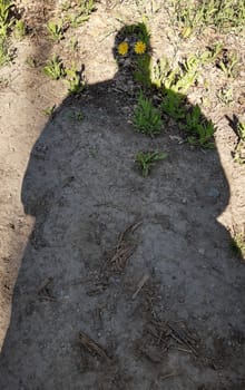 Shadow on the ground with dandelion flowers instead of eyes.