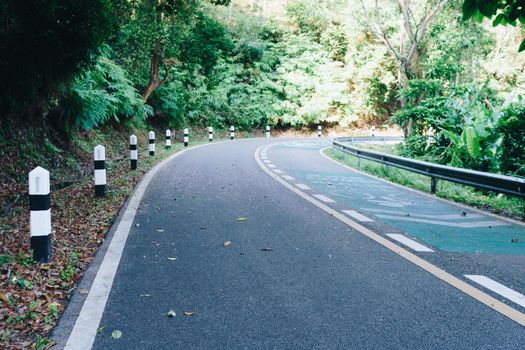 Road with bicycle lane in the country with nature surrounding background.