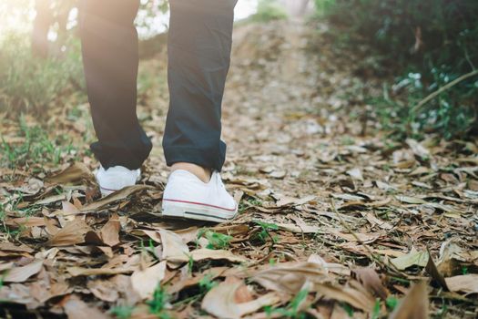 Man is walking into the wood or jungle nature walk way with sunlight.Slow life lifestyle and exercise.