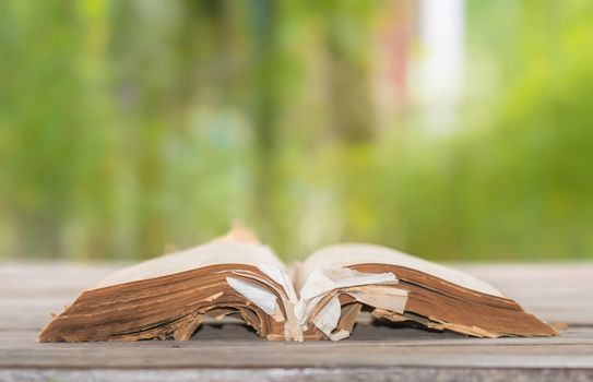 Old book open on table, backdrop blurred green nature