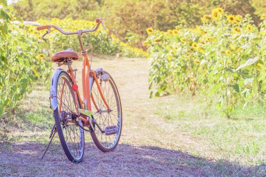 Bicycle in landscape