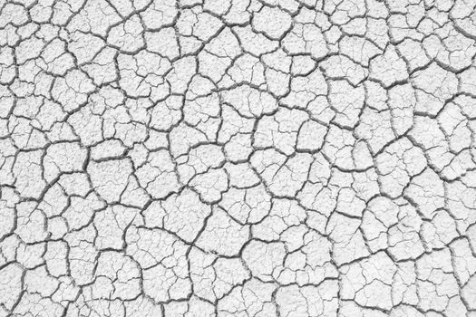 Soil drought cracks texture white background for design.