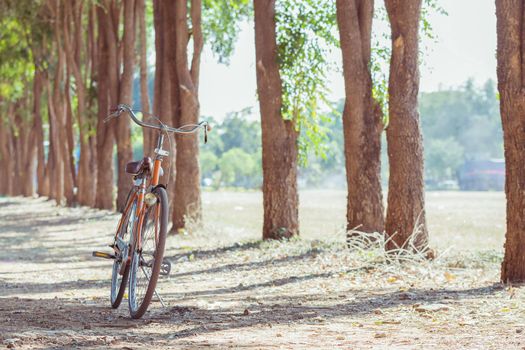 Bicycle in landscape