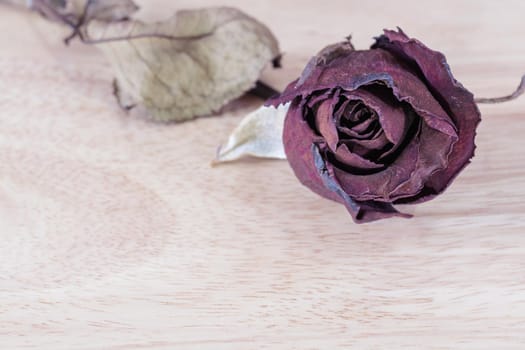 Dry roses on wooden