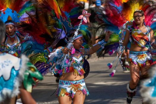 Arica, Chile - January 23, 2016: Tobas dancers in traditional Andean costume performing at the annual Carnaval Andino con la Fuerza del Sol in Arica, Chile.