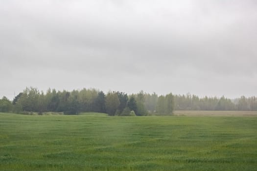 Autumn field landscape in the fog under cloudy sky, soft focus