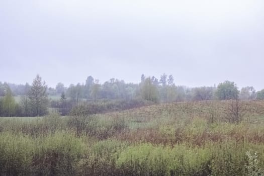 Autumn field landscape in the fog under cloudy sky, soft focus