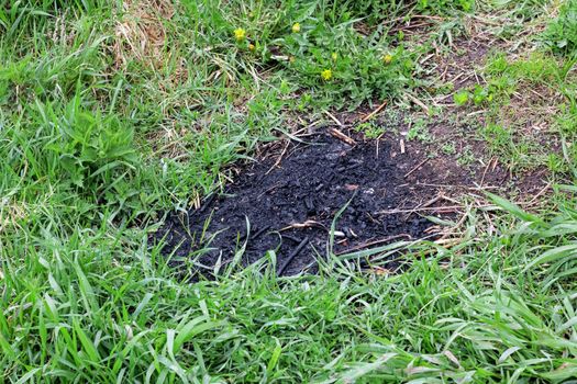 Trail of the fire on the green grass close up
