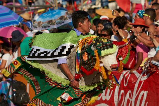 Arica, Chile - January 23, 2016: Members of a Waca Waca dance group in ornate costume performing at the annual Carnaval Andino con la Fuerza del Sol in Arica, Chile.