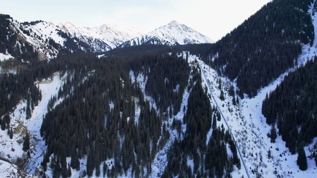 Coniferous forest in snowy mountains. White clouds float across the sky. Top view from a drone. In places, the road to the mountains and buildings are visible. There is a pipe along the gorge. Sunset