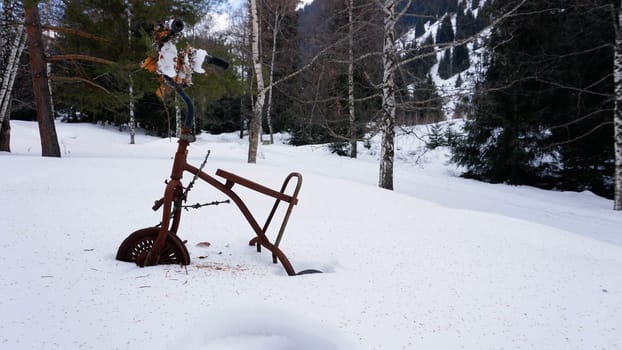 An old rusty tricycle in the winter forest. White snow, coniferous trees. An abandoned place. Branches hang on the steering wheel and wheels. There are husks on the snow from the trees