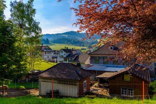 Wooden cottage houses in mountain village, Alt Sankt Johann, Sankt Gallen, Switzerland.