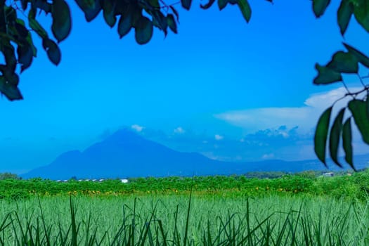 Landscape of mountains and grass in tree framing. Selective focus.