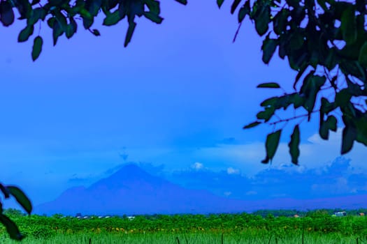 Landscape of mountains and grass in tree framing. Selective focus.