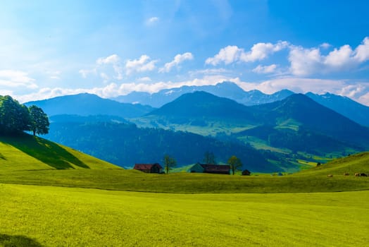 Green fields with blue sky, Schoenengrund, Hinterland, Appenzell Ausserrhoden Switzerland.