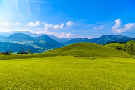 Green fields with blue sky, Schoenengrund, Hinterland, Appenzell Ausserrhoden Switzerland.