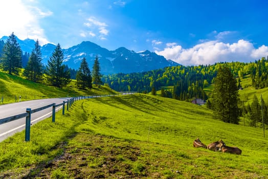 Road with snowy alps mountains, Schoenengrund, Hinterland, Appenzell Ausserrhoden Switzerland.