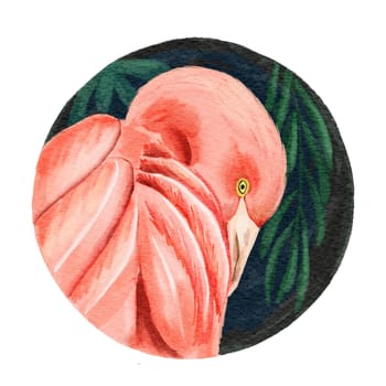 Pink flamingo in round circle. Tropical exotic bird rose flamingos isolated on white background. Watercolor hand drawn realistic animal illustration. Summer bird wildlife. Print for wrapping paper, wallpaper, cards