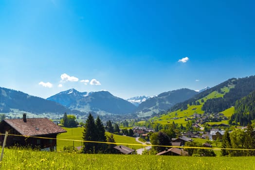 Houses and green meadows, Gruyere, Fribourg Switzerland.