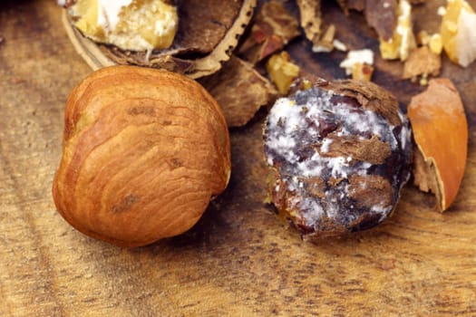 Raw hazelnuts during the preparation of nuts for food. Spoiled foods with mold, close-up macro
