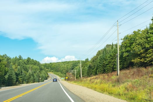 Canadian road passes along the green coniferous forests