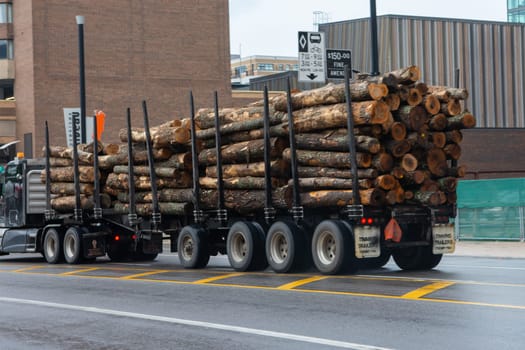 Large trailer with raw wood stopped on the road in the city