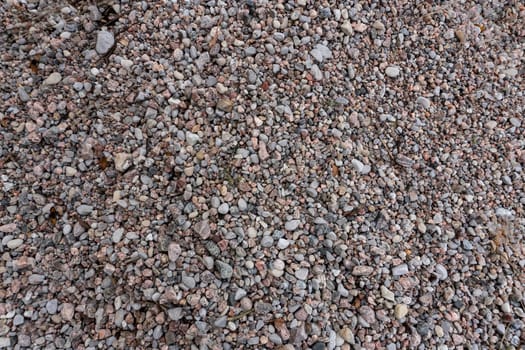 Small sea pebbles on the shore near the forest