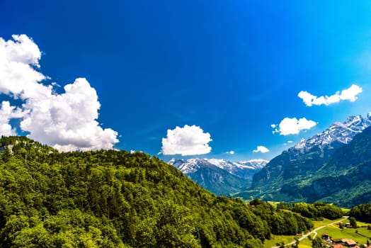 Mountains covered with forest, Brienz, Interlaken-Oberhasli, Bern Switzerland.