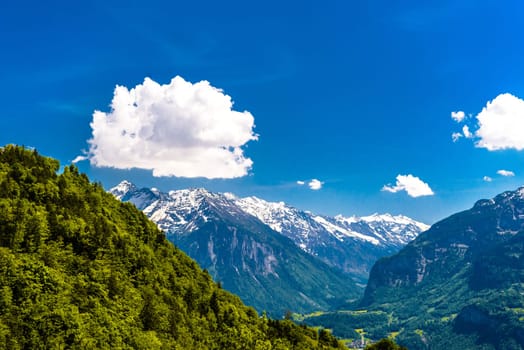 Mountains covered with forest, Brienz, Interlaken-Oberhasli, Bern Switzerland.