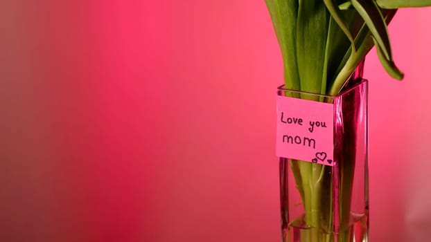 Spring tulip flowers on pink background , close-up with space for paste text. International Mother's Day. Sticker I love you mom, copy space , neon magenta light