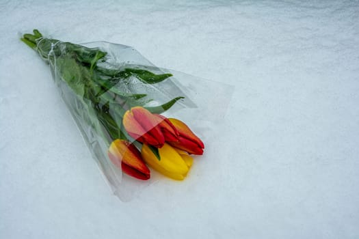 a bouquet of tulips is lying on the snow. Congratulation. Valentine's Day, March 8. International Women's Day. Flowers in the snow