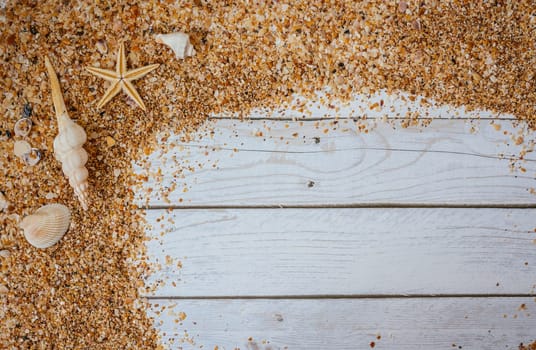 Sand seashells background. Summer time concept with sea shells and starfish on wooden background and sand.