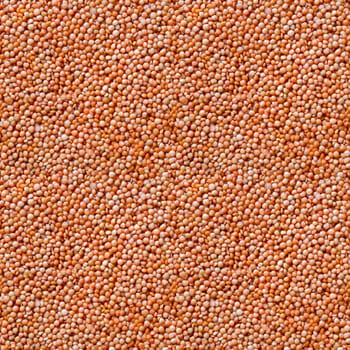 Seamless texture background of orange lentil groats, top view