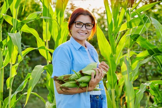 Woman with ripe corn cobs in her hands, looking at the camera, on a farm. Growing natural organic vegetables, gardening, agriculture, summer autumn season concept