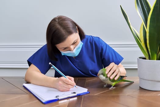 Doctor woman veterinarian examining a green Quaker parrot. Pet bird on examination at the vet clinic